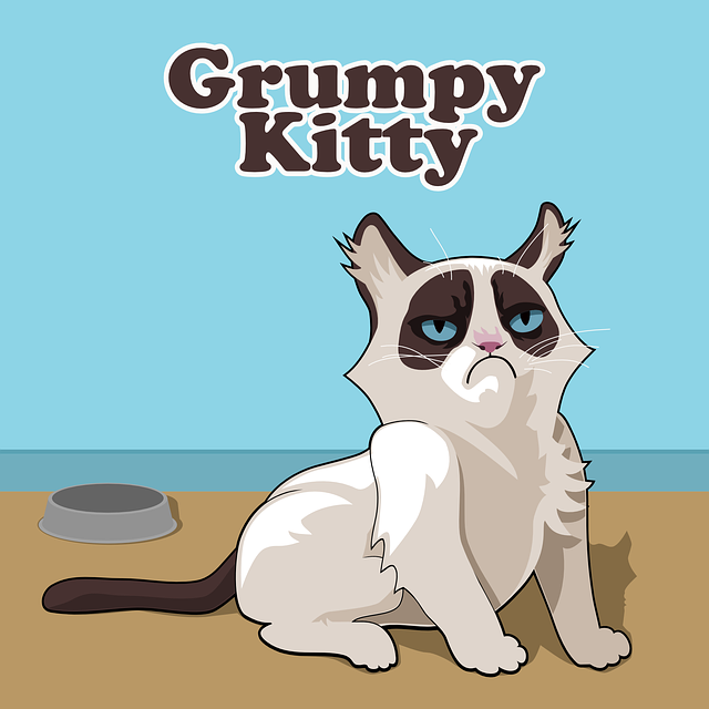 grumpy kitty cartoon