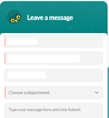 live chat window