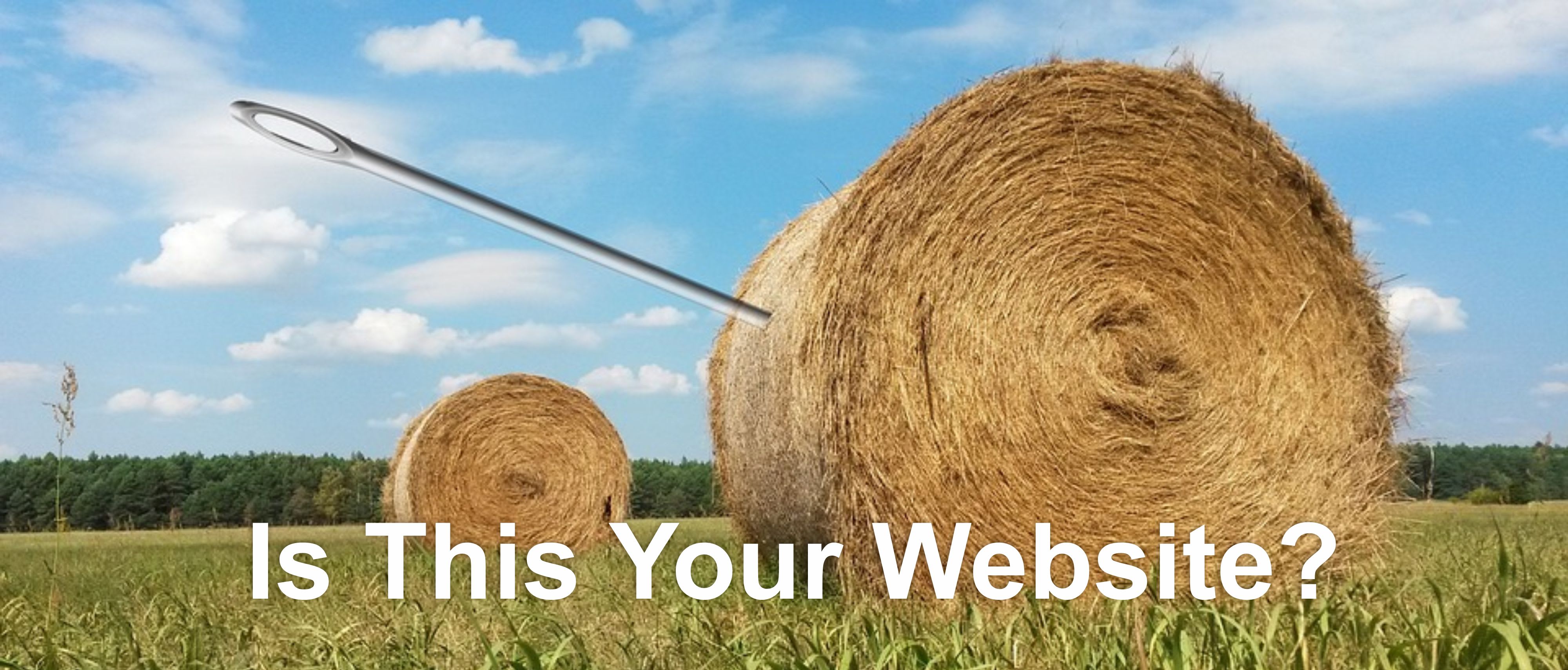 Is your website a needle in a haystack?