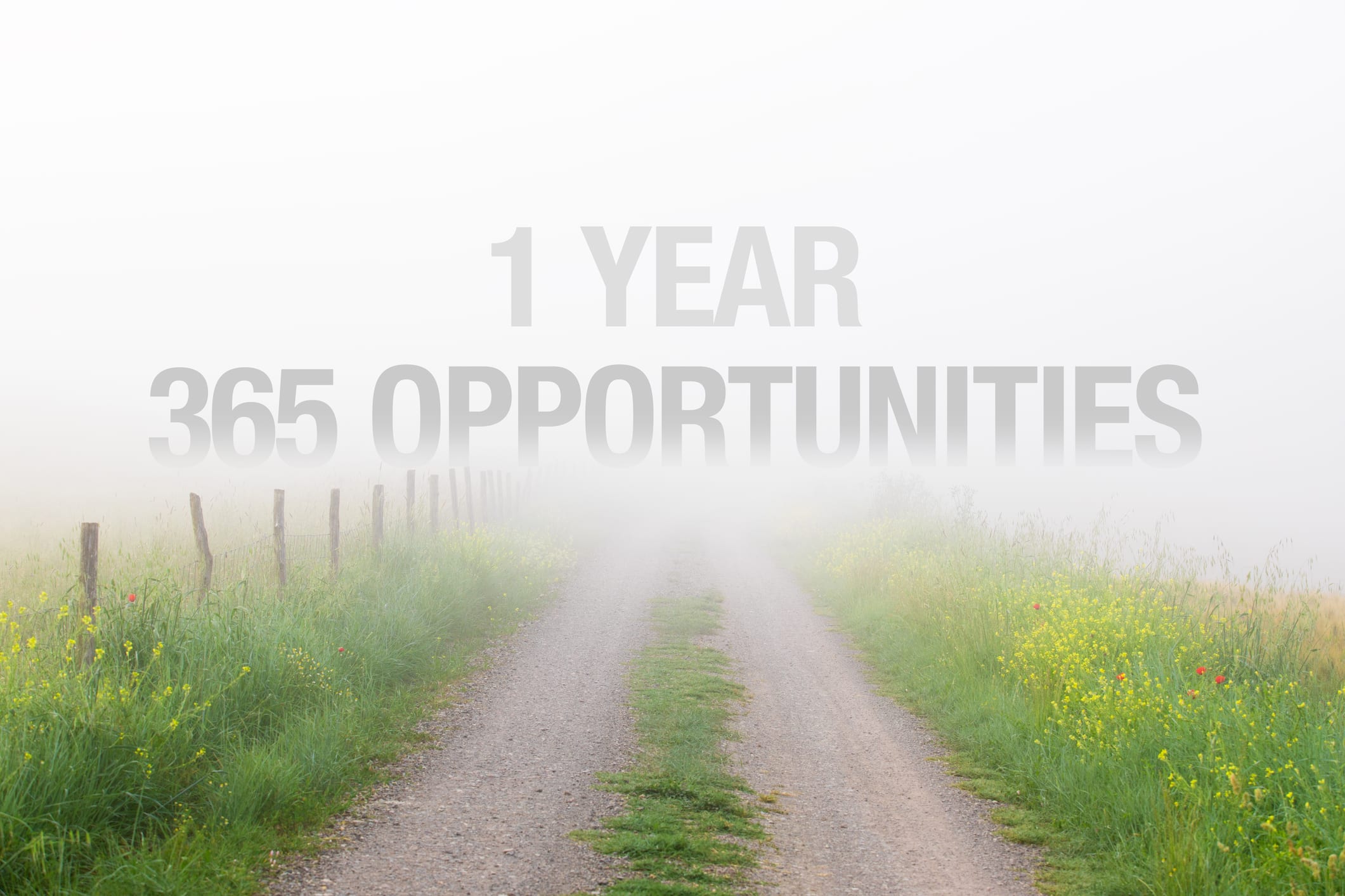 1 year 365 opportunities image