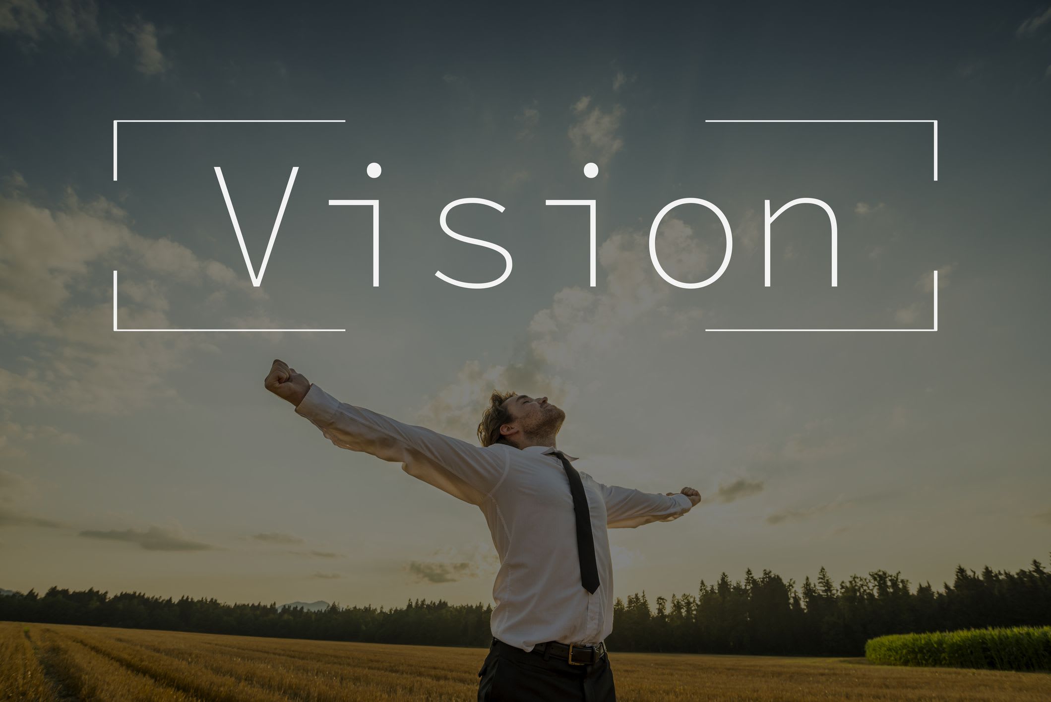 vision statement