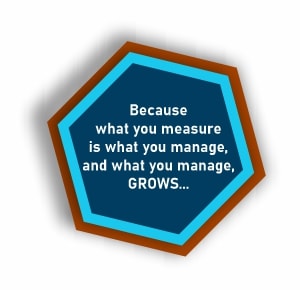 what you measure is what you manage, and what you manage grows